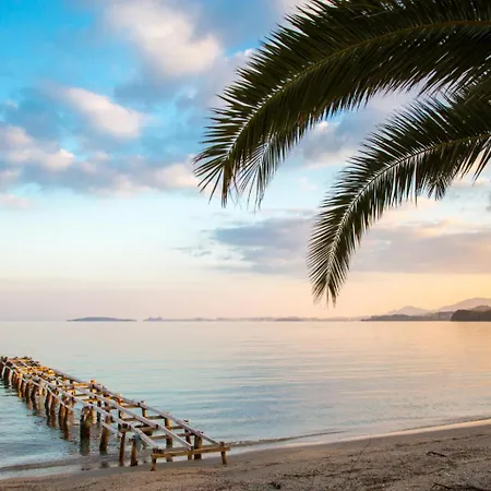 Konstantinos فيلة