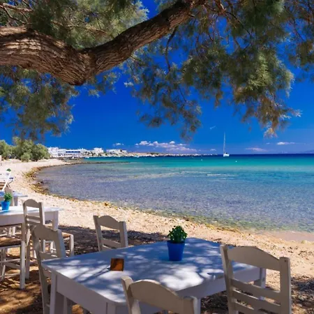 Konstantinos فيلة